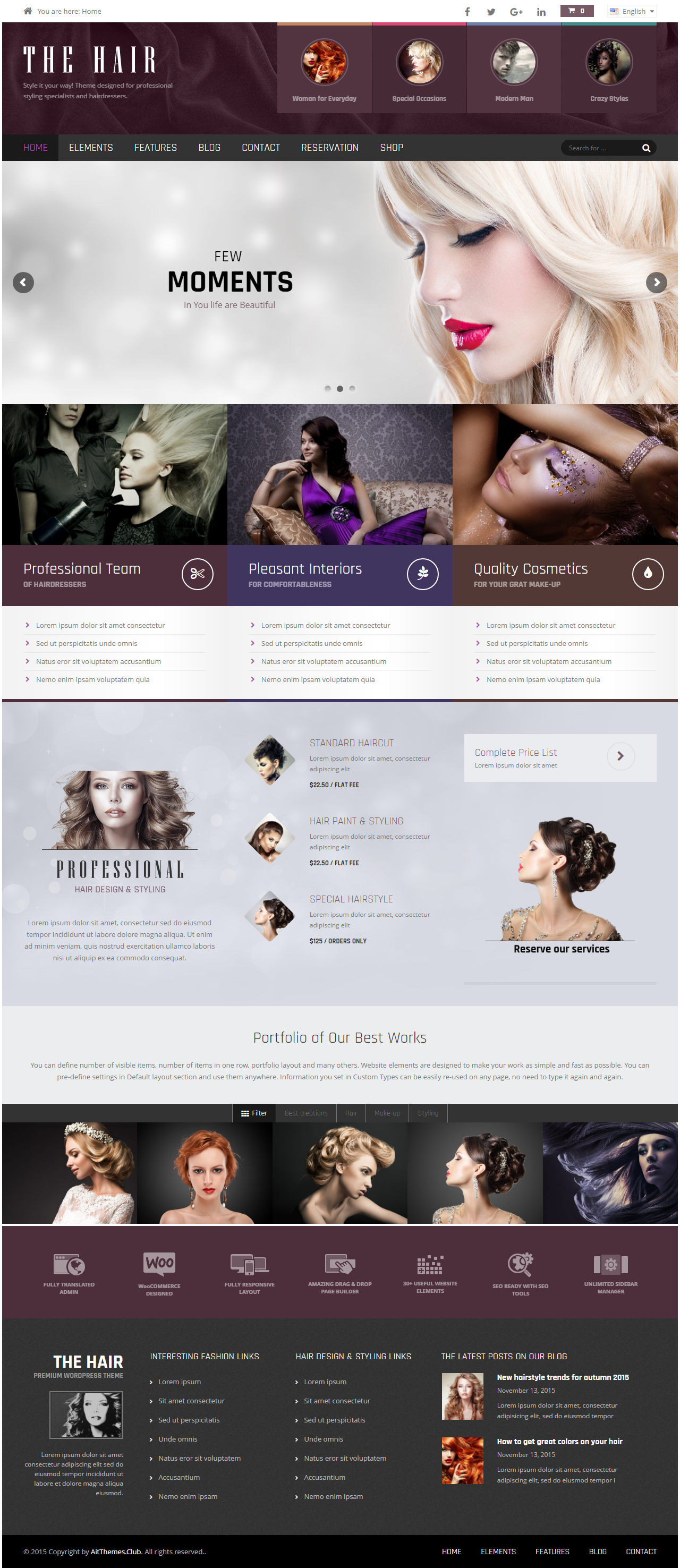 web design services in pune - Theme for Hair Salons - Web Design Services in Pune