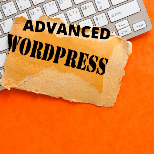 wordpress agency in pune - 31 - WordPress Agency in Pune